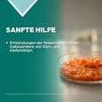 Apozema® Nr. 31 Sinusitis-Tropfen, A-Nr.: 0987822 - 03