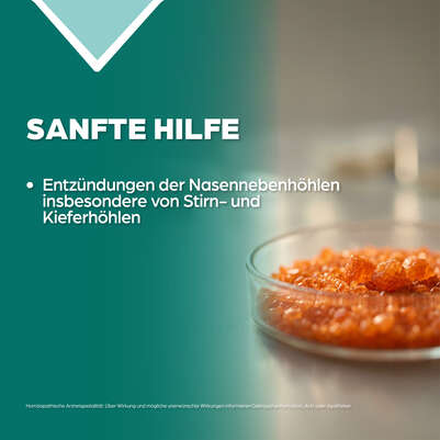 Apozema® Nr. 31 Sinusitis-Tropfen, A-Nr.: 0987822 - 03