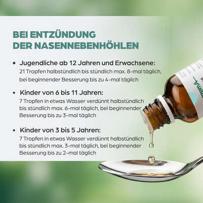 Apozema® Nr. 31 Sinusitis-Tropfen, A-Nr.: 0987822 - 05