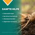 Apozema® Nr. 32 Stärkungs-Tropfen für Männer, A-Nr.: 0987851 - 03