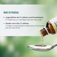 Apozema® Nr. 33 Stress- und Nerven-Tropfen, A-Nr.: 0982925 - 05