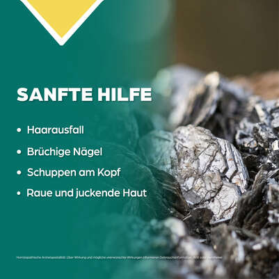 Apozema® Nr. 39 Haarausfall-Tropfen, A-Nr.: 1291169 - 03
