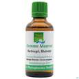 Gemmo Mazerat Hartriegel/blutrot Cornus Sanguinea Phytopharma 50ml, A-Nr.: 3107098 - 01