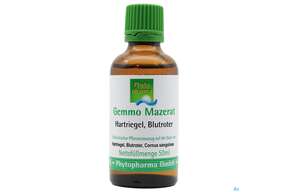 Gemmo Mazerat Hartriegel/blutrot Cornus Sanguinea Phytopharma 50ml, A-Nr.: 3107098 - 01