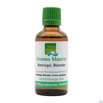 Gemmo Mazerat Hartriegel/blutrot Cornus Sanguinea Phytopharma 50ml, A-Nr.: 3107098 - 02