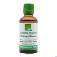 Gemmo Mazerat Hartriegel/blutrot Cornus Sanguinea Phytopharma 50ml, A-Nr.: 3107098 - 03