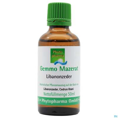 Sie sehen eine Packung Gemmo Mazerat Libanonzeder Cedrus Libani Phytopharma 50ml, Produktbild: 01 Gemmo Mazerat Libanonzeder Cedrus Libani Phytopharma 50ml, A-Nr.: 3107371 - 01