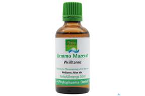 Gemmo Mazerat Weisstanne Abies Alba Phytopharma 50ml, A-Nr.: 3107282 - 01