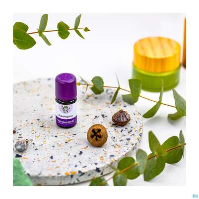 Aetherische Oele Taoasis Bio Eucalyptus 5ml, A-Nr.: 3163406 - 04
