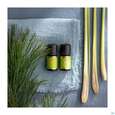 Aetherische Oele Primavera Lemongrass Bio 10ml, A-Nr.: 3160402 - 04