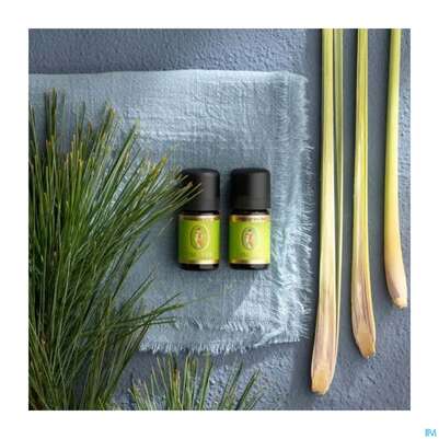 Aetherische Oele Primavera Lemongrass Bio 10ml, A-Nr.: 3160402 - 04