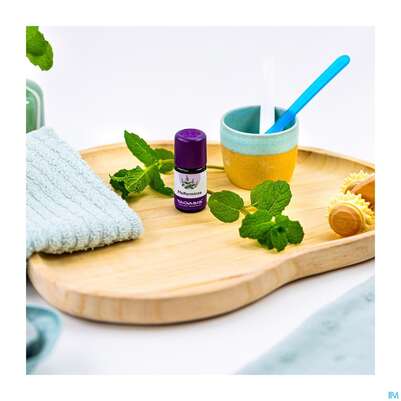 Aetherische Oele Taoasis Bio/demeter Pfefferminze 5ml, A-Nr.: 3165291 - 05