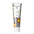 Sie sehen eine Packung Dr. Hauschka Rosen Tagescreme Leicht - Limited Edition 30ml, Produktbild: 08 Dr. Hauschka Rosen Tagescreme Leicht - Limited Edition 30ml, A-Nr.: 3590120 - 08