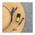 Aetherische Oele Primavera Lavendel Fein Bio 10ml, A-Nr.: 2108227 - 05