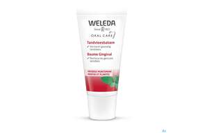 Weleda Salbei Zahnfleisch Balsam Tb 30ml, A-Nr.: 1805384 - 01