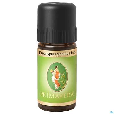 Aetherische Oele Primavera Eukalyptus Bio Globulus 10ml, A-Nr.: 2305100 - 02