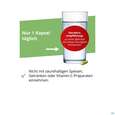 Dr.wolz Brokkoliextrakt Kapseln +aktiv-enzym 60563 60st, A-Nr.: 5133705 - 12