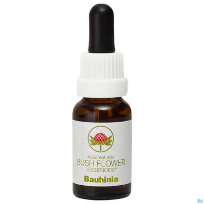 Aub Bauhinia, A-Nr.: 2626844 - 02