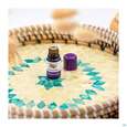 Sie sehen eine Packung Aetherische Oele Taoasis Bio Benzoe Siam 20% 5ml, Produktbild: 04 Aetherische Oele Taoasis Bio Benzoe Siam 20% 5ml, A-Nr.: 4558236 - 04