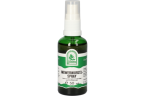 INGWERWURZEL SPRAY 50 ML, A-Nr.: 4484383 - 01