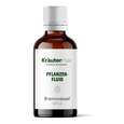 Sie sehen eine Packung Brennnessel Tropfen Fluid 50 ml, Produktbild: 01 Brennnessel Tropfen Fluid 50 ml, A-Nr.: 4317633 - 01