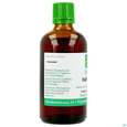 Haferstroh Tinktur Avena Sativa Phytopharma 100ml, A-Nr.: 5393027 - 03