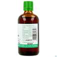 Haferstroh Tinktur Avena Sativa Phytopharma 100ml, A-Nr.: 5393027 - 06