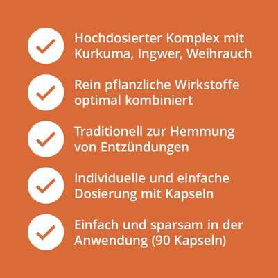 Kurkuma – Ingwer – Weihrauch Kapseln, A-Nr.: 5629429 - 02