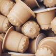 VITA1001 - Bio Vitalkaffee (PREMIUM REISHI-Kaffee) | Holzfaser-Kapsel | 10er ÖKO-Box (Nespresso kompatibel), A-Nr.: 5684109 - 03