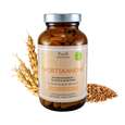SportsKanone - Vitamin B Komplex mit Calcium und Magnesium, A-Nr.: 5779229 - 02