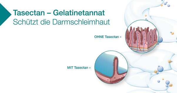 Sie sehen eine Packung Tasectan Kapseln für Erwachsene, Produktbild: 03 Tasectan Kapseln für Erwachsene, A-Nr.: 3919057 - 03
