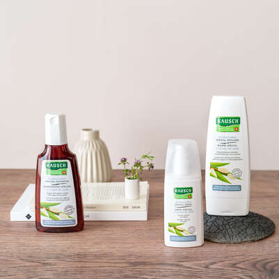 Sie sehen eine Packung RAUSCH Weidenrinden SPEZIAL-SHAMPOO, Produktbild: 03 RAUSCH Weidenrinden SPEZIAL-SHAMPOO, A-Nr.: 4310565 - 03