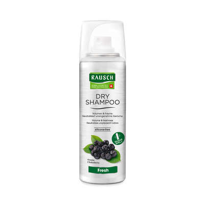 Sie sehen eine Packung RAUSCH DRY SHAMPOOO Fresh, Produktbild: 01 RAUSCH DRY SHAMPOOO Fresh, A-Nr.: 4763829 - 01