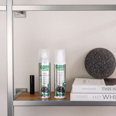 Sie sehen eine Packung RAUSCH DRY SHAMPOOO Fresh, Produktbild: 02 RAUSCH DRY SHAMPOOO Fresh, A-Nr.: 4763829 - 02