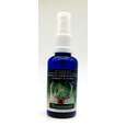 Raumspray Traumwald 50ml, A-Nr.: 5699766 - 01