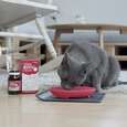 Sie sehen eine Packung OMNi-BiOTiC® Cat & Dog, 60g, Produktbild: 02 OMNi-BiOTiC® Cat & Dog, 60g, A-Nr.: 5200301 - 02