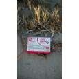 OMNi-BiOTiC® Reise, 14 Sachets a 5g, A-Nr.: 3172919 - 02