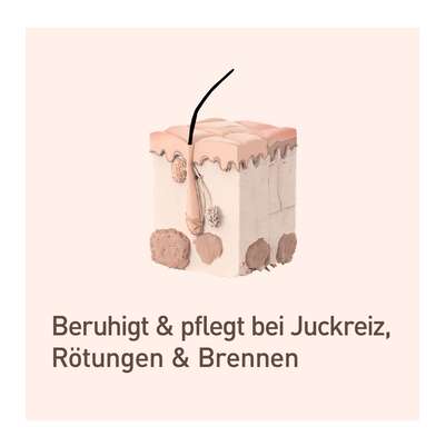 Nupure probaderm probiotische Intensivcreme, A-Nr.: 5778939 - 07
