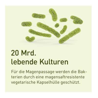 Nupure probaflor Probiotika zur Darmsanierung, A-Nr.: 5778951 - 05