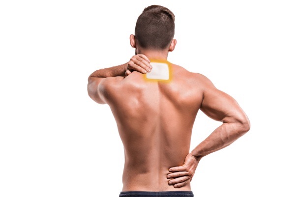 Sie sehen eine Packung Nexcare™ Wärmepflaster, 9,5 cm × 13 cm, 5/Pack, Produktbild: 03 Nexcare™ Wärmepflaster, 9,5 cm × 13 cm, 5/Pack, A-Nr.: 4435195 - 03