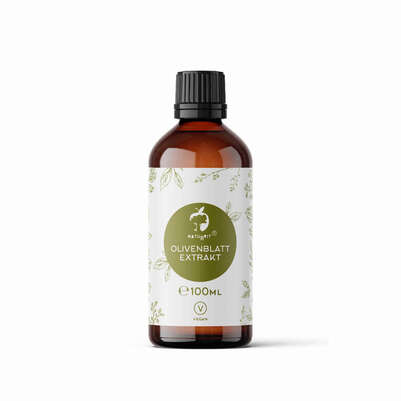 Sie sehen eine Packung Naturvit® Olivenblatt Extrakt aus Bio-Olivenblättern, Produktbild: 01 Naturvit® Olivenblatt Extrakt aus Bio-Olivenblättern, A-Nr.: 5667128 - 01