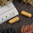 Supplementa Multi Komplex Kapseln, A-Nr.: 5396327 - 04