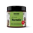 Sie sehen eine Packung Arlberger Murmelin Sport- und Gelenkssalbe 100ml, Produktbild: 01 Arlberger Murmelin Sport- und Gelenkssalbe 100ml, A-Nr.: 5075304 - 01