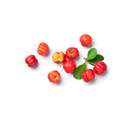 Bio Maca Kapseln mit natürlichem Vitamin C der Acerolkirsche, 100 Stück, A-Nr.: 5450742 - 03