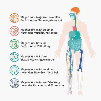 Casida Magnesiumcitrat Kapseln Vital, A-Nr.: 4895732 - 02