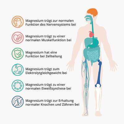 Sie sehen eine Packung Magnesiumcitrat Pulver Vital, Produktbild: 02 Magnesiumcitrat Pulver Vital, A-Nr.: 4362504 - 02