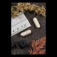 Supplementa Mega-Multi-Mineral Kapseln, A-Nr.: 5574177 - 04