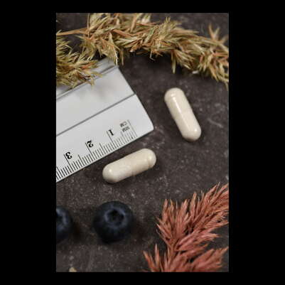 Supplementa Mega-Multi-Mineral Kapseln, A-Nr.: 5574177 - 04