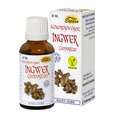 Sie sehen eine Packung Espara Ingwer Compositum Alchemistische Essenz, Produktbild: 02 Espara Ingwer Compositum Alchemistische Essenz, A-Nr.: 4040060 - 02