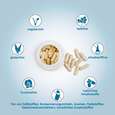 JAB Colostrum, A-Nr.: 5181503 - 04